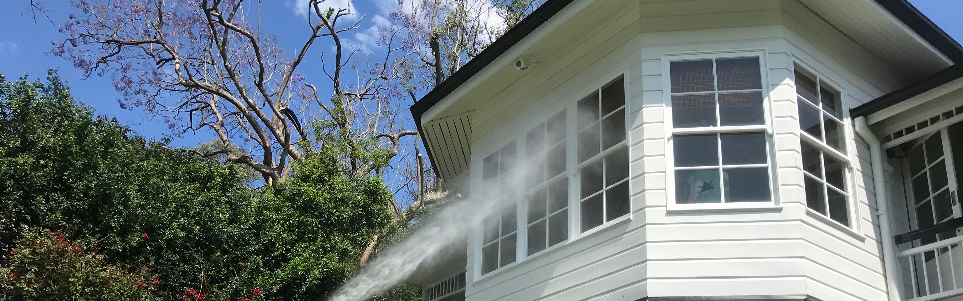 House Washing Auckland