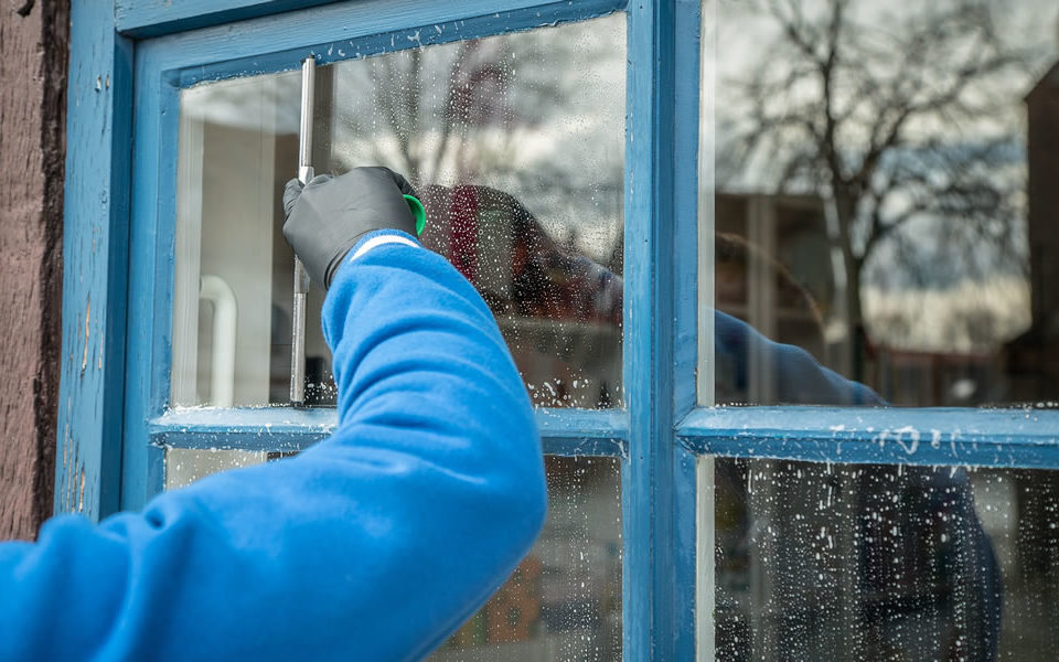 window cleaning