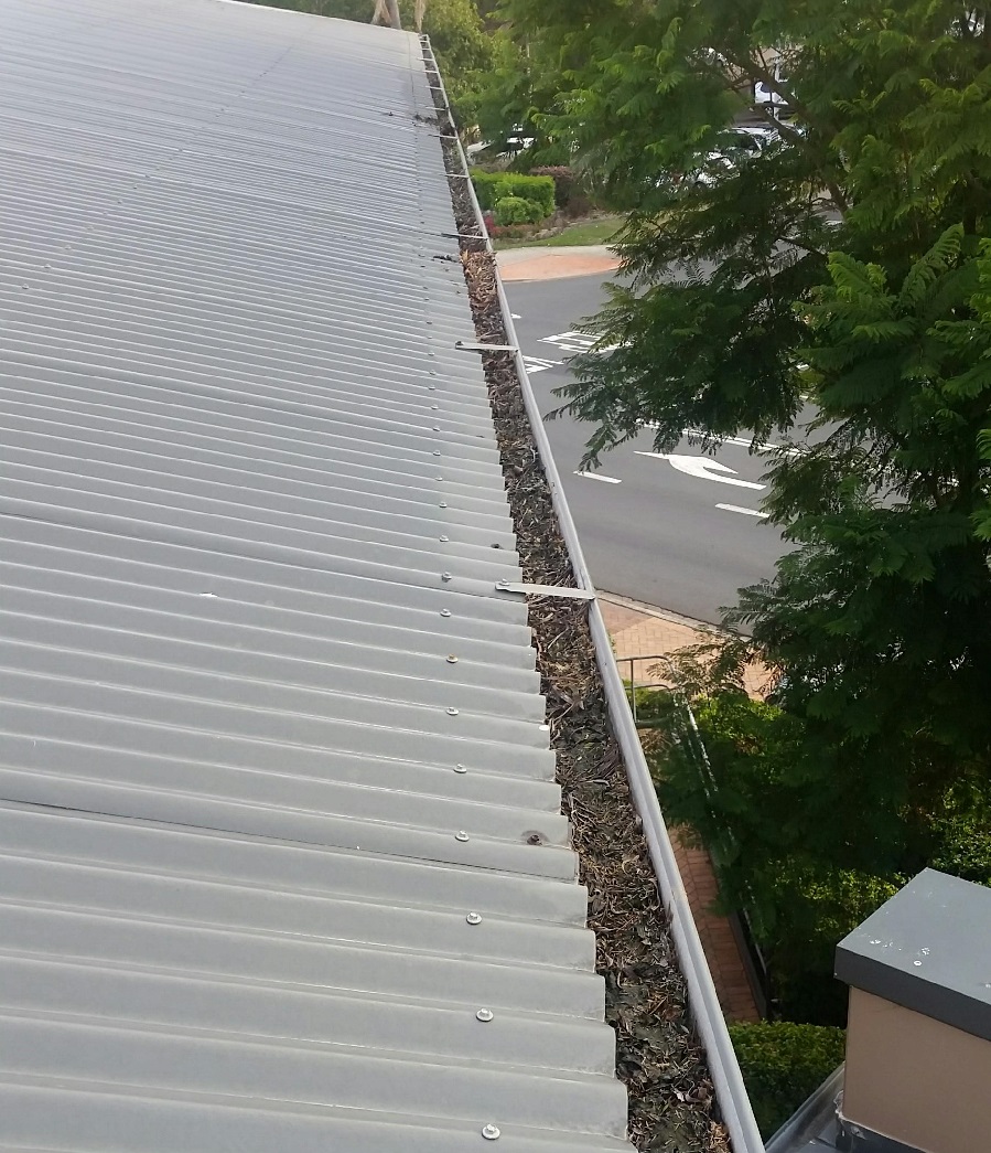 gutter cleaning auckland